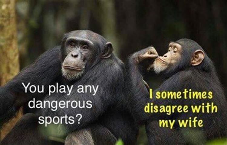 DisagreeWife