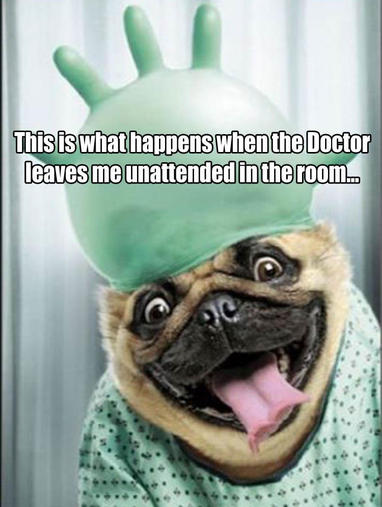 DoctorAlone