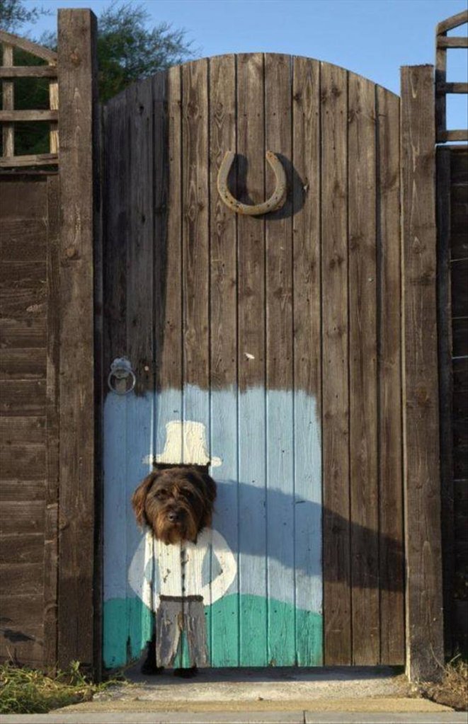 DogDoor
