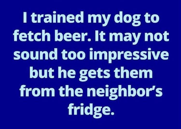 DogTrained