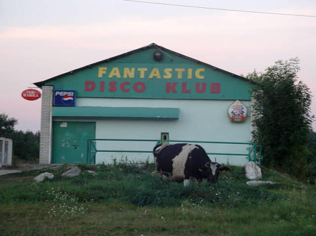 Dorfdisco