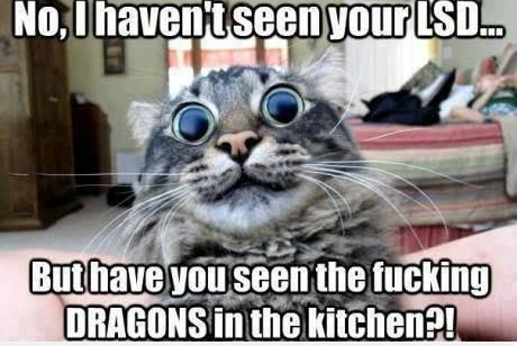 Drogen