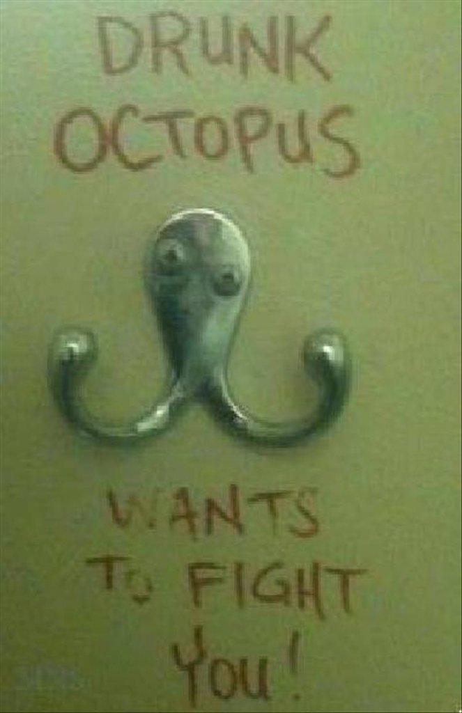 DrunkOctopus