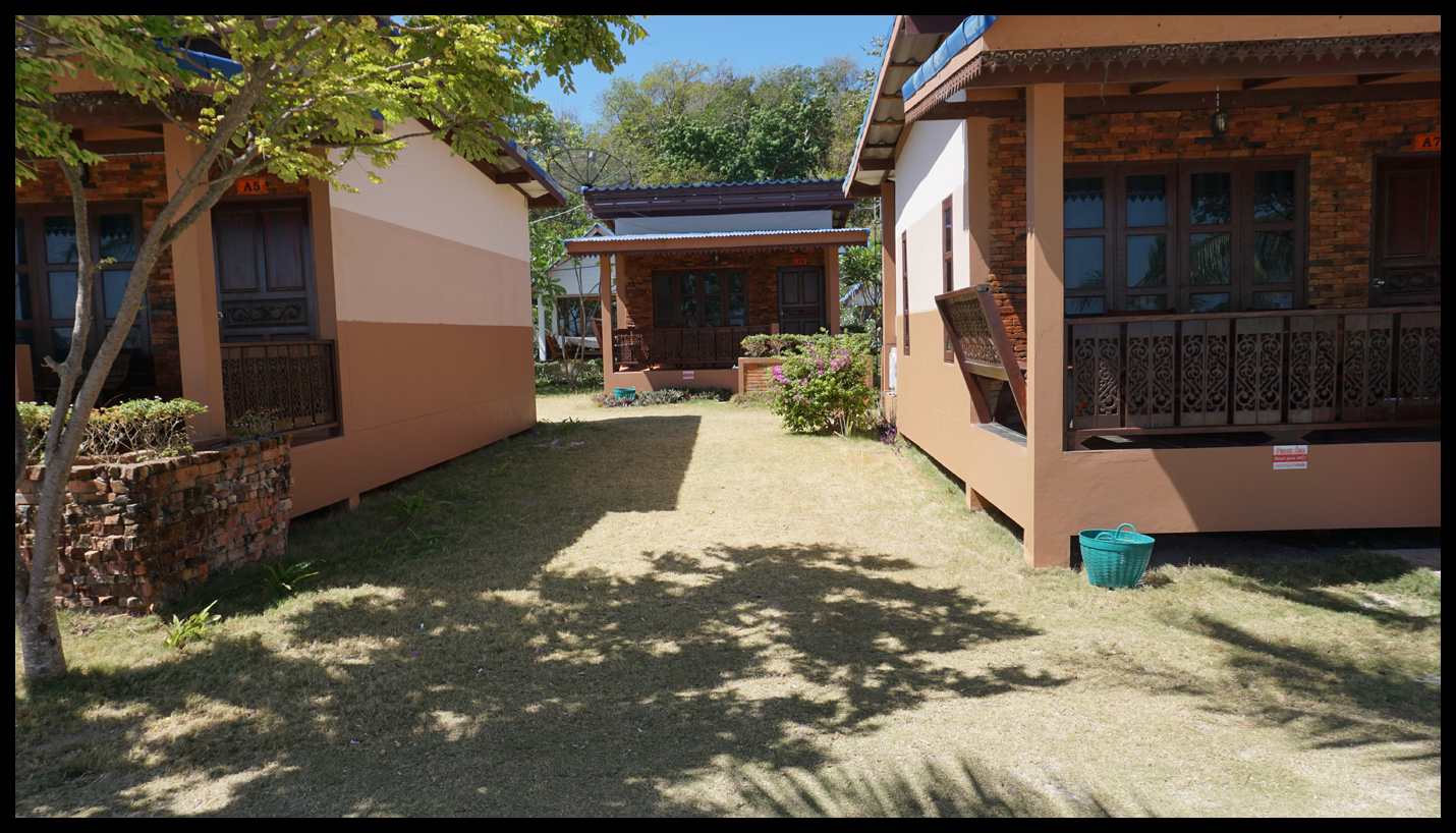 DSC04229