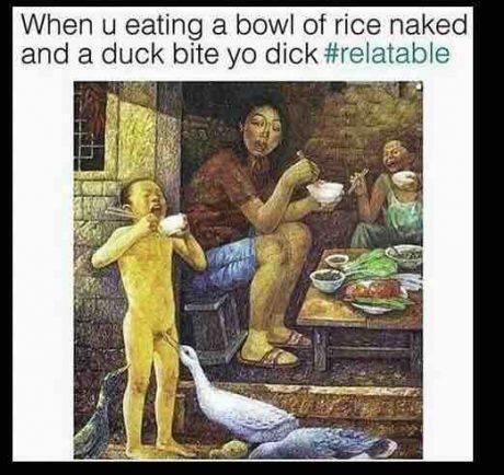 Duck