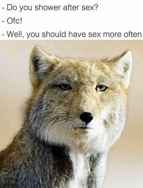 Duscht_du_nach_dem_sex