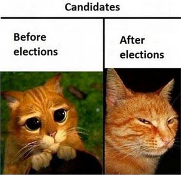 Electiones