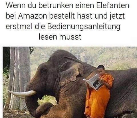 Elefant
