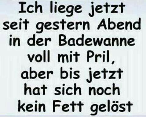 Fettloeser