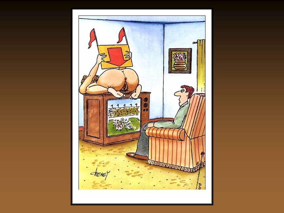 Folie8
