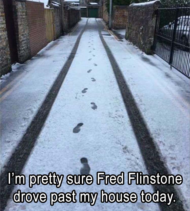 FredFeuerstein