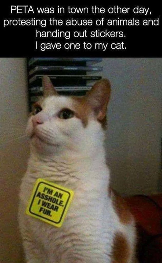 FurPeta
