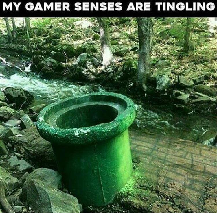 GamerSense