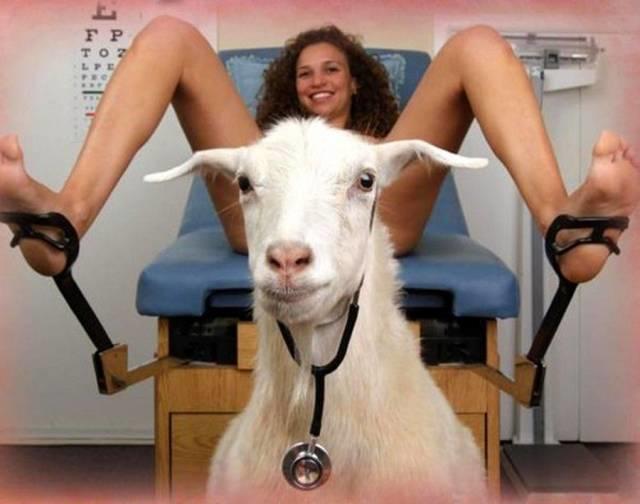 Goatlogist