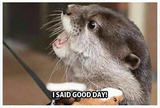 Goodday