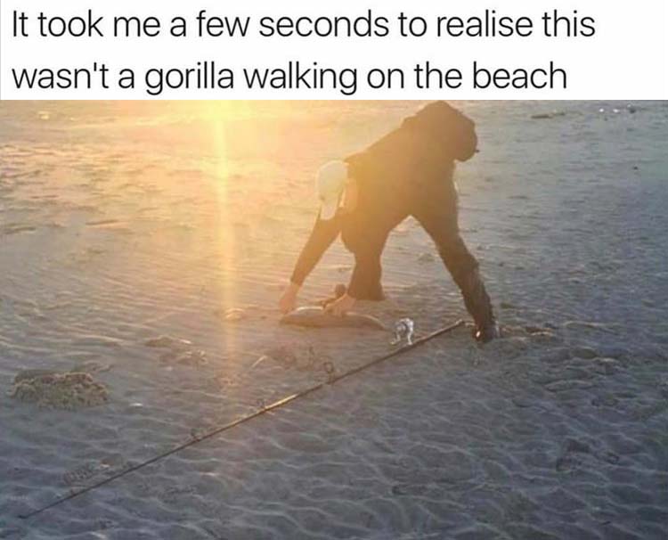 GorillaBeach