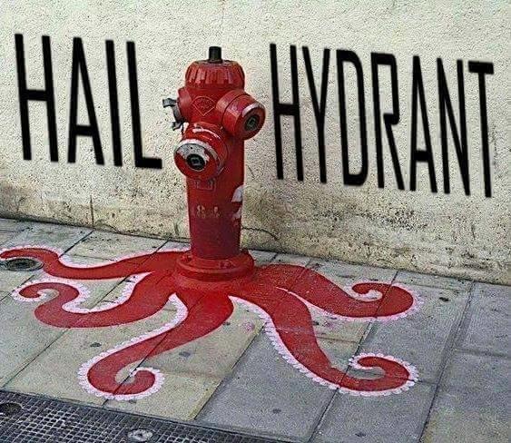 Heil_hydra