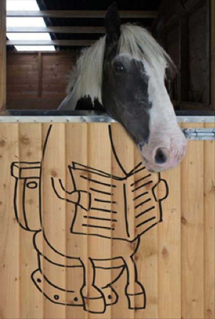 HorseBox