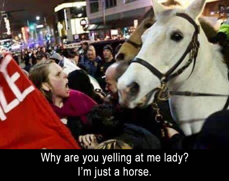 HorseLady