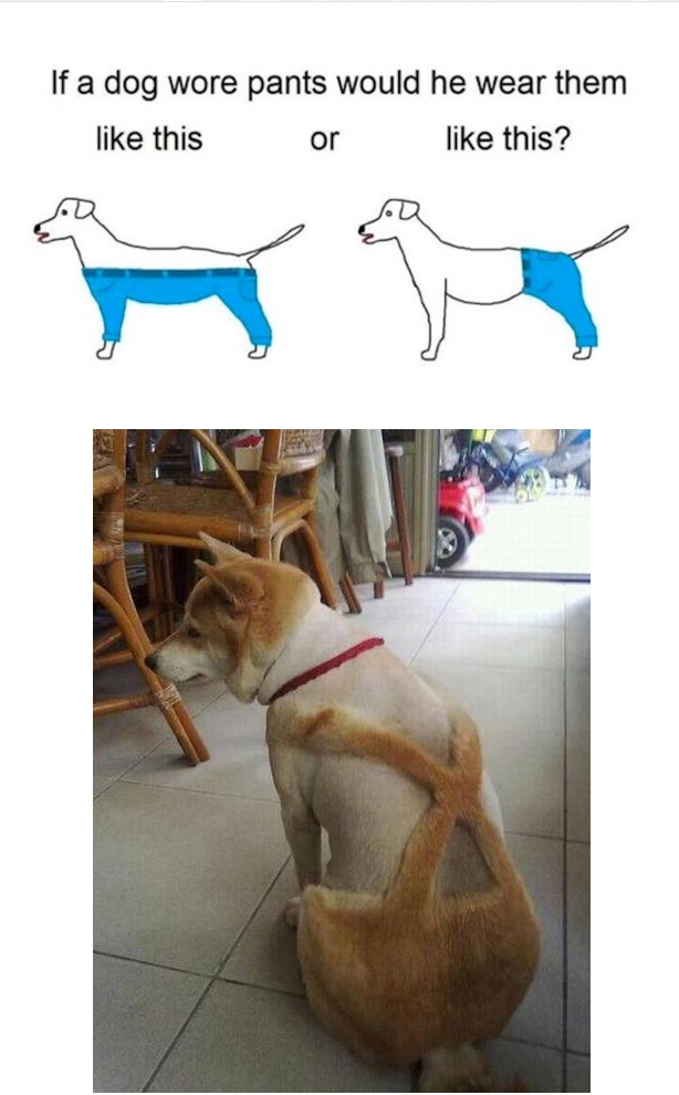 Hosehund
