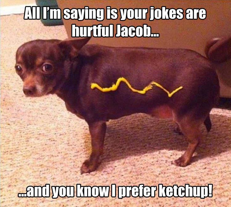 HotDogKetch