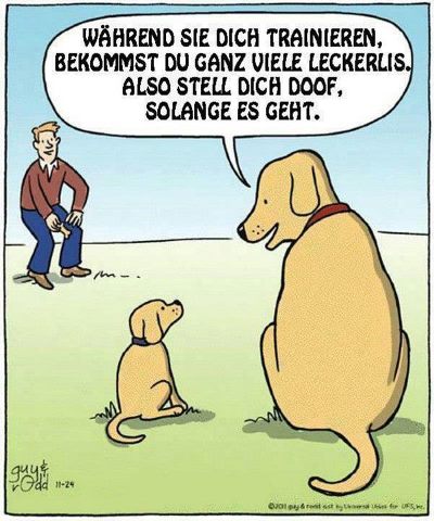 Humor-hundetaktik