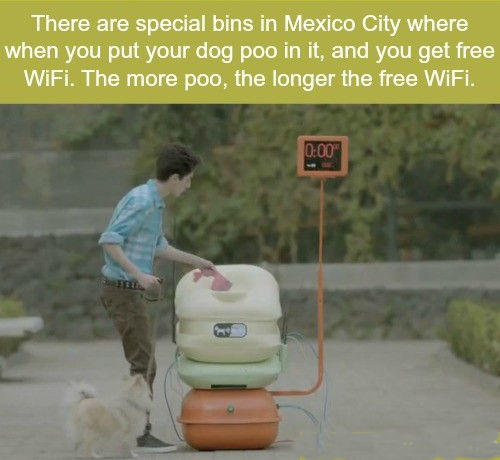 Hundewifi