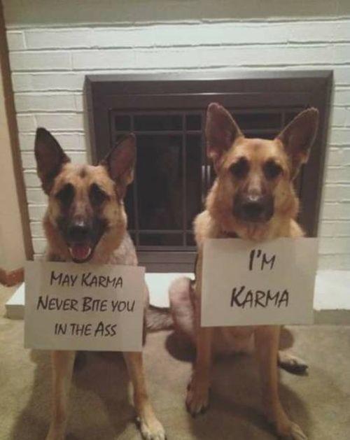 Instantkarma
