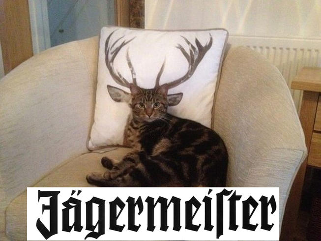 Jaegermeister