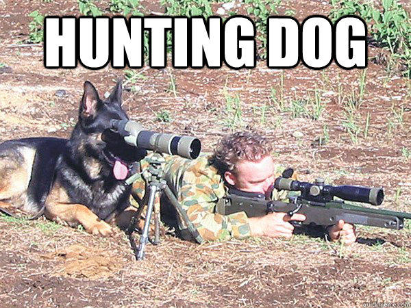 Jagdhund