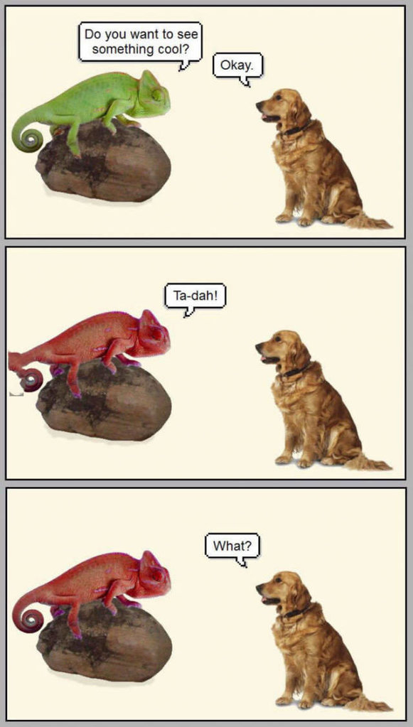 Kleinerhundewitz