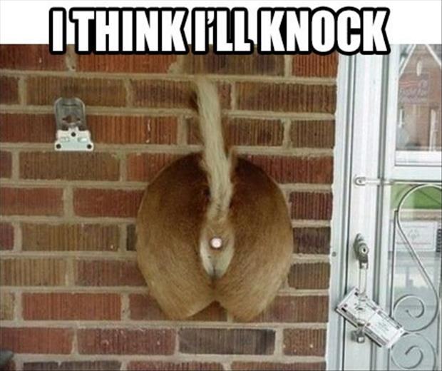 Knock