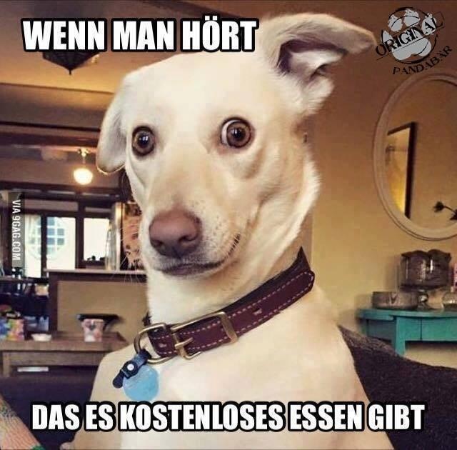Kostenlos