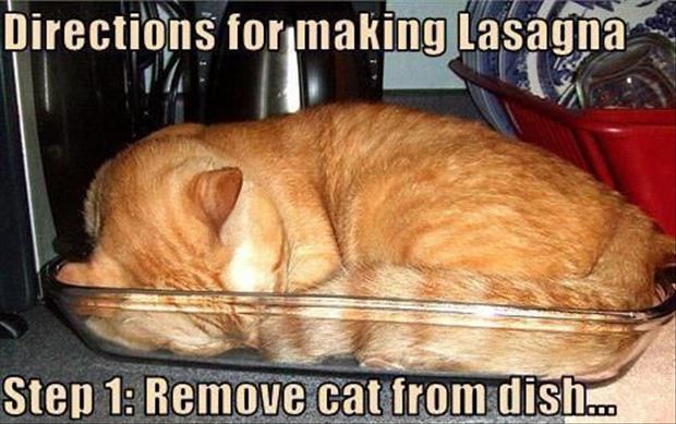 Lasagne