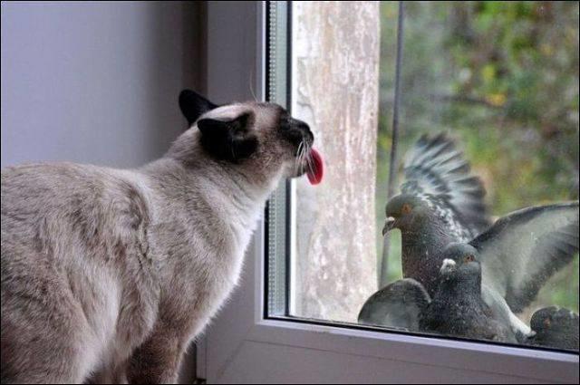 Lecker