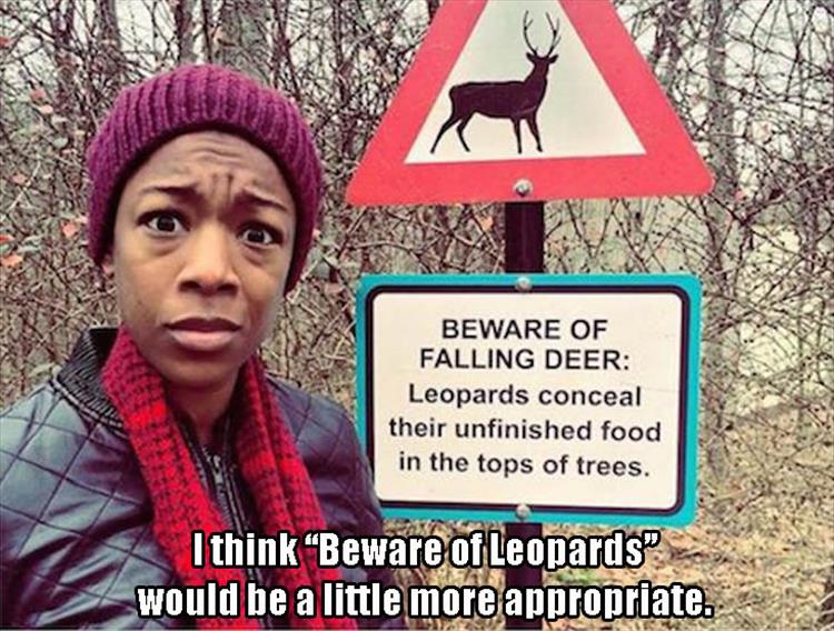 Leopards