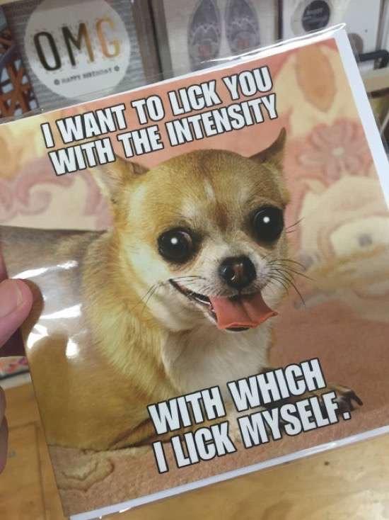 Licker