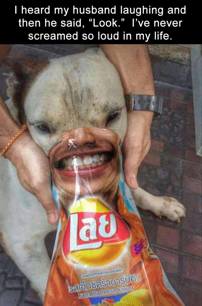 LookDog