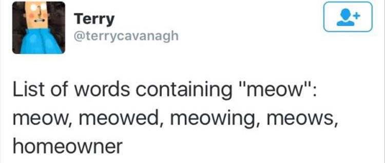 Meow