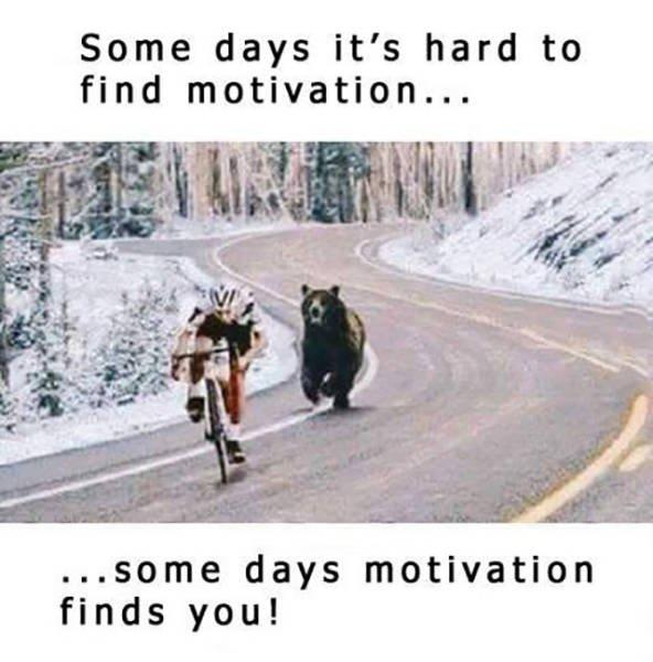 Motivation