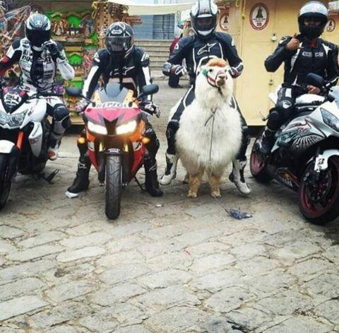 Motocross