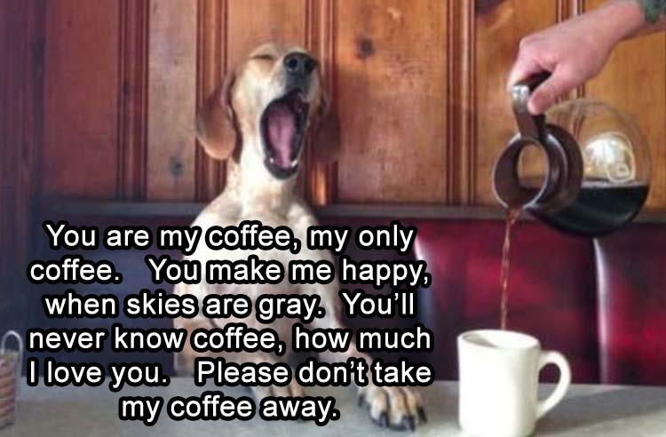 MyOnlyCoffee
