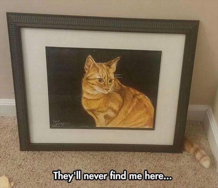 NeverFind