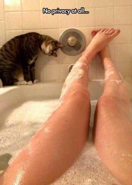 No_privacy