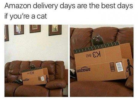Paket
