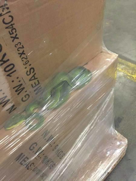 Paketfuerdich
