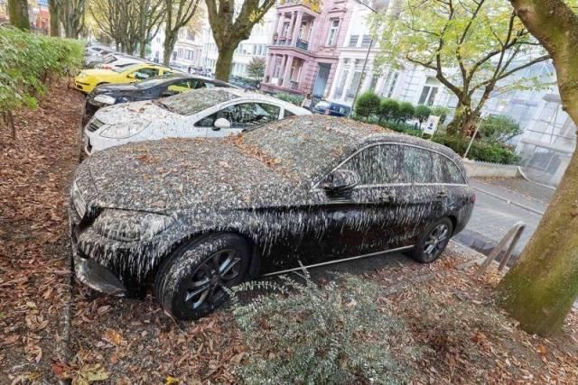Parkplatzderwoche