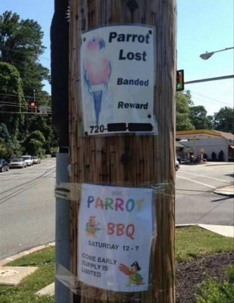 ParrotBBQ