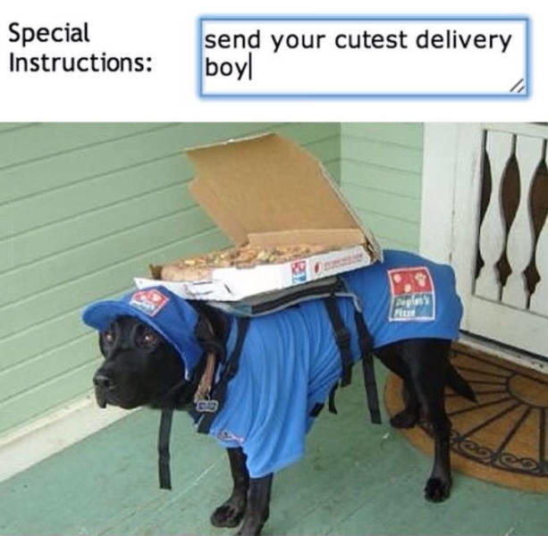 Pizzabote