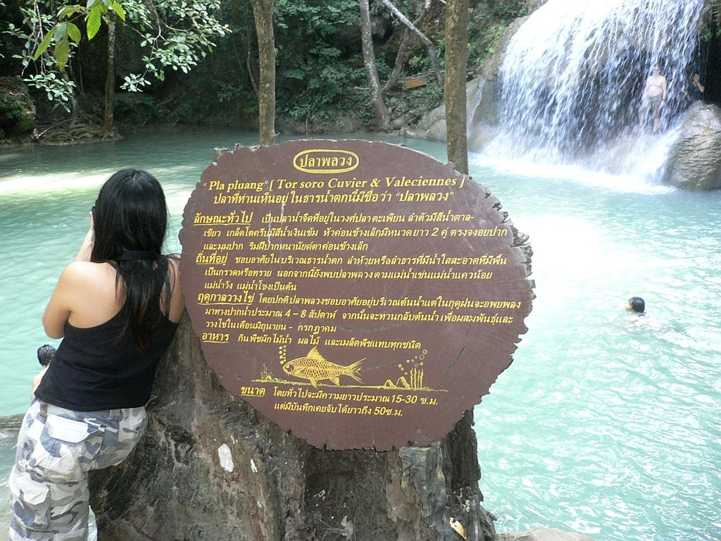 PlaPluang01